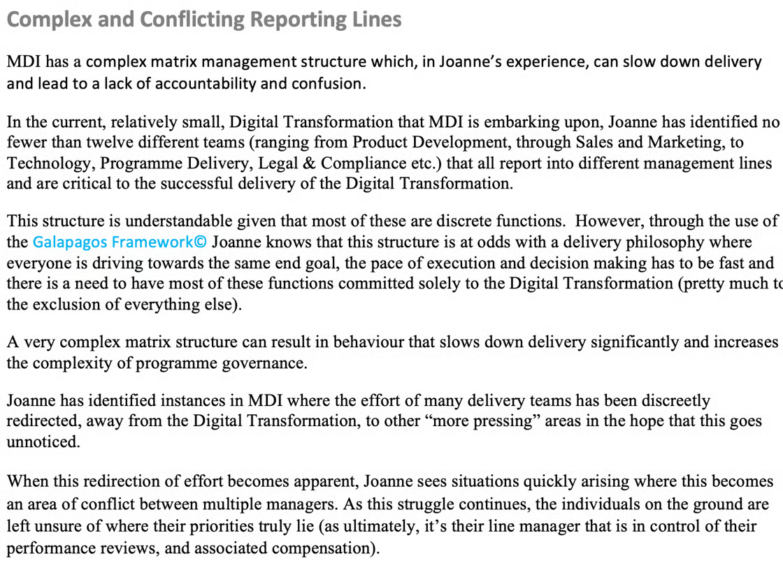 Governance Case Study - Page 4
